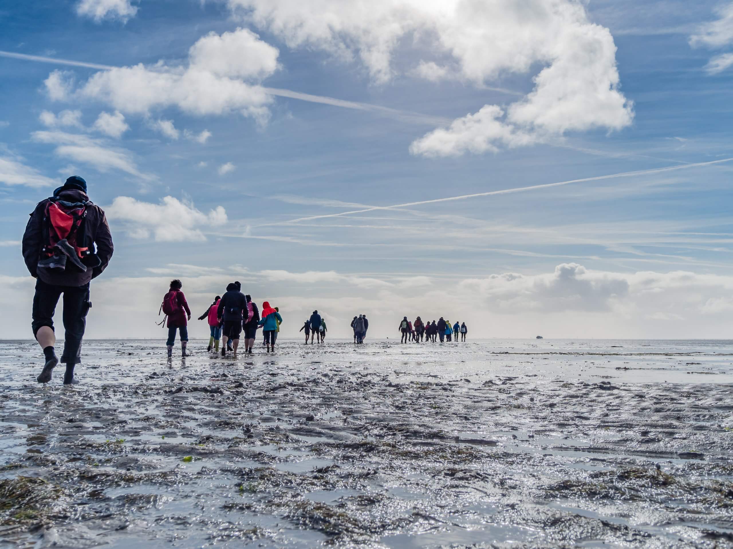 Das Wattenmeer