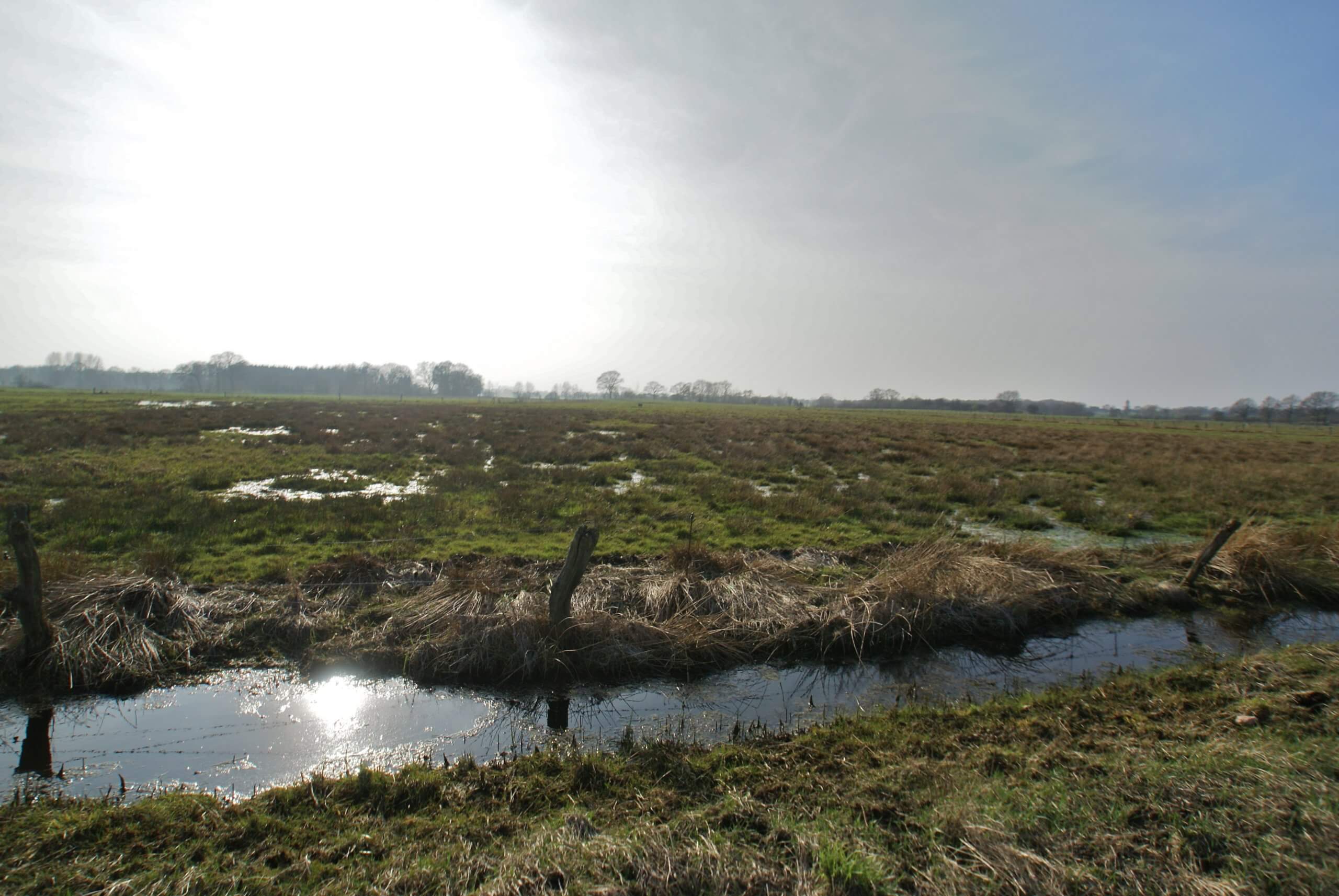 Nienwohlder Moor