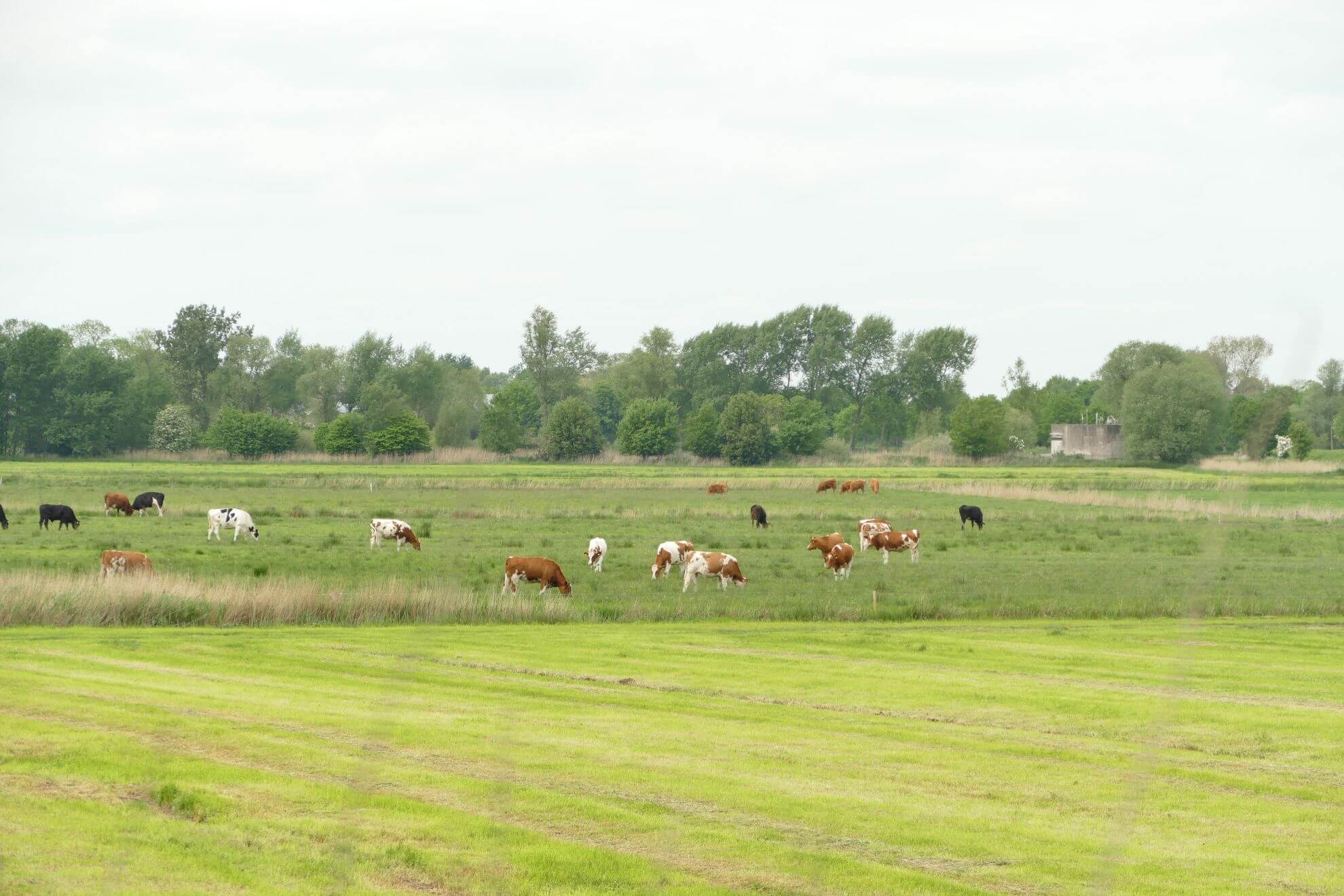 Natur und Erholung