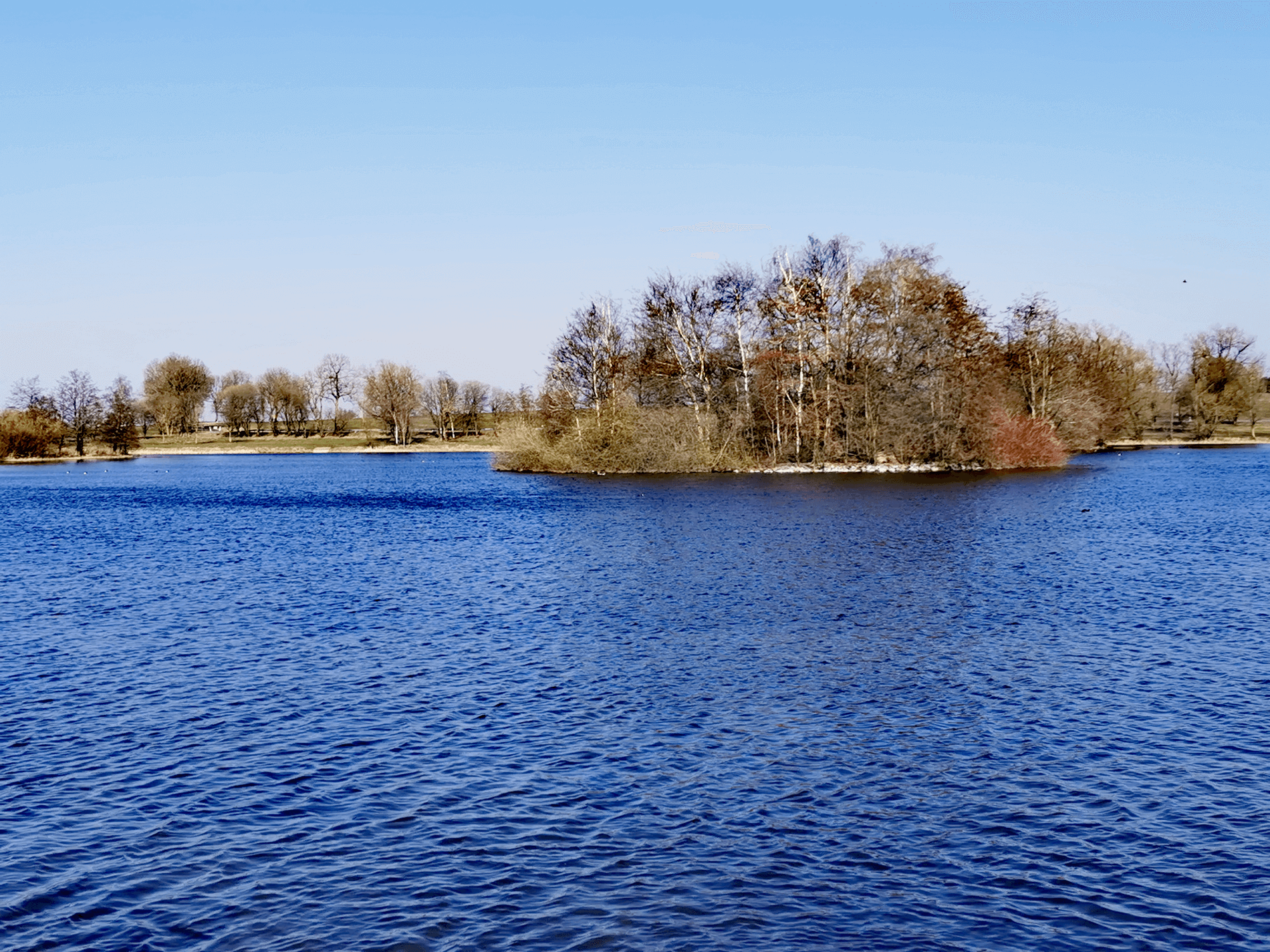 Schwarzenbörner Teich